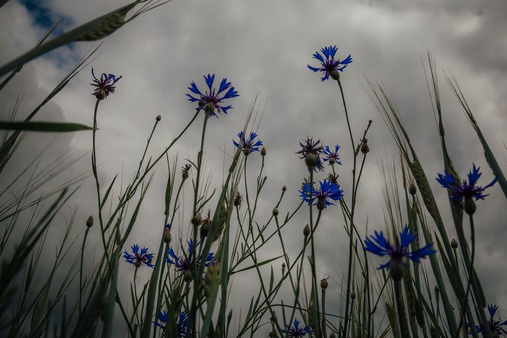 Photograph by Дмитрий Пасынков