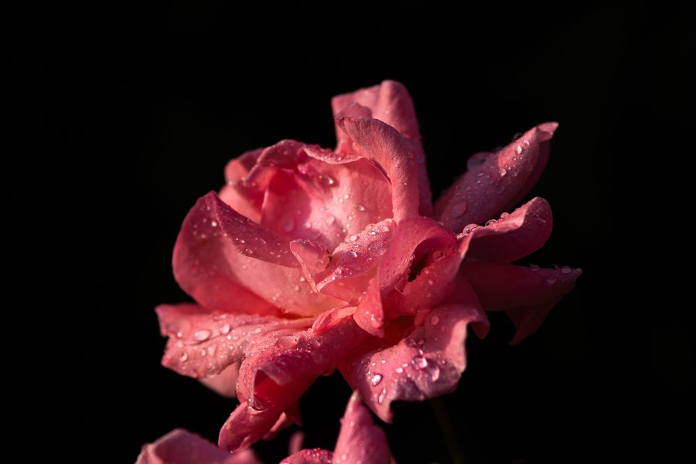 Photograph by Захаров Максим