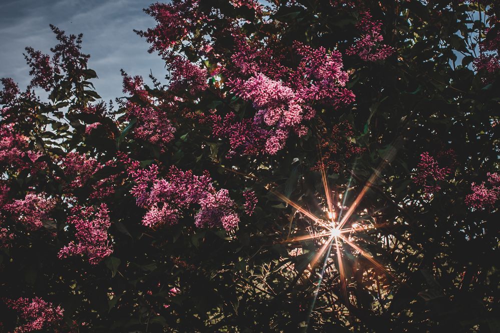 Photograph by Дмитрий Пасынков