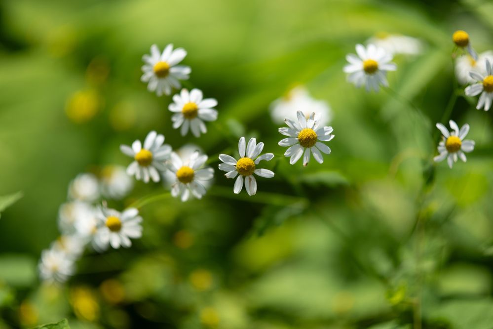 Photograph by Захаров Максим