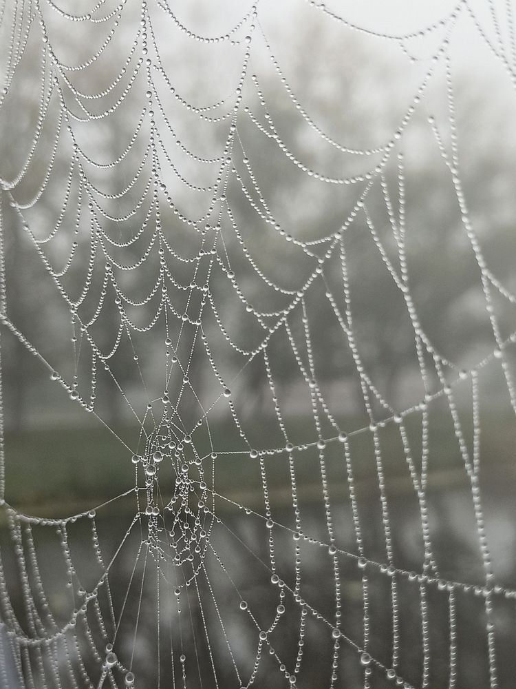 Фотография автора Татьяна Шахова