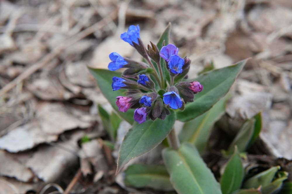 Photograph by Андрей Корытов