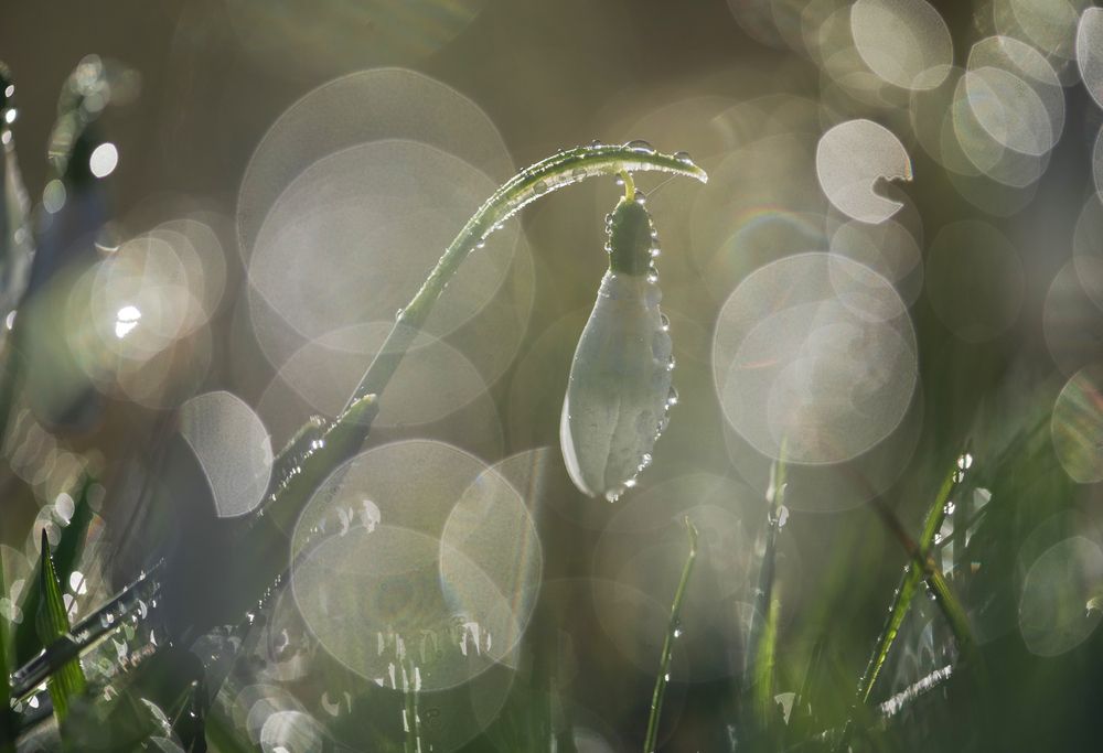 Photograph by ПУЗЕНКО ДМИТРИЙ