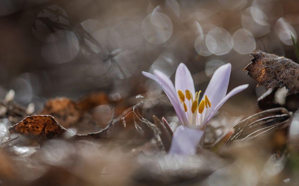 Photograph by ПУЗЕНКО ДМИТРИЙ
