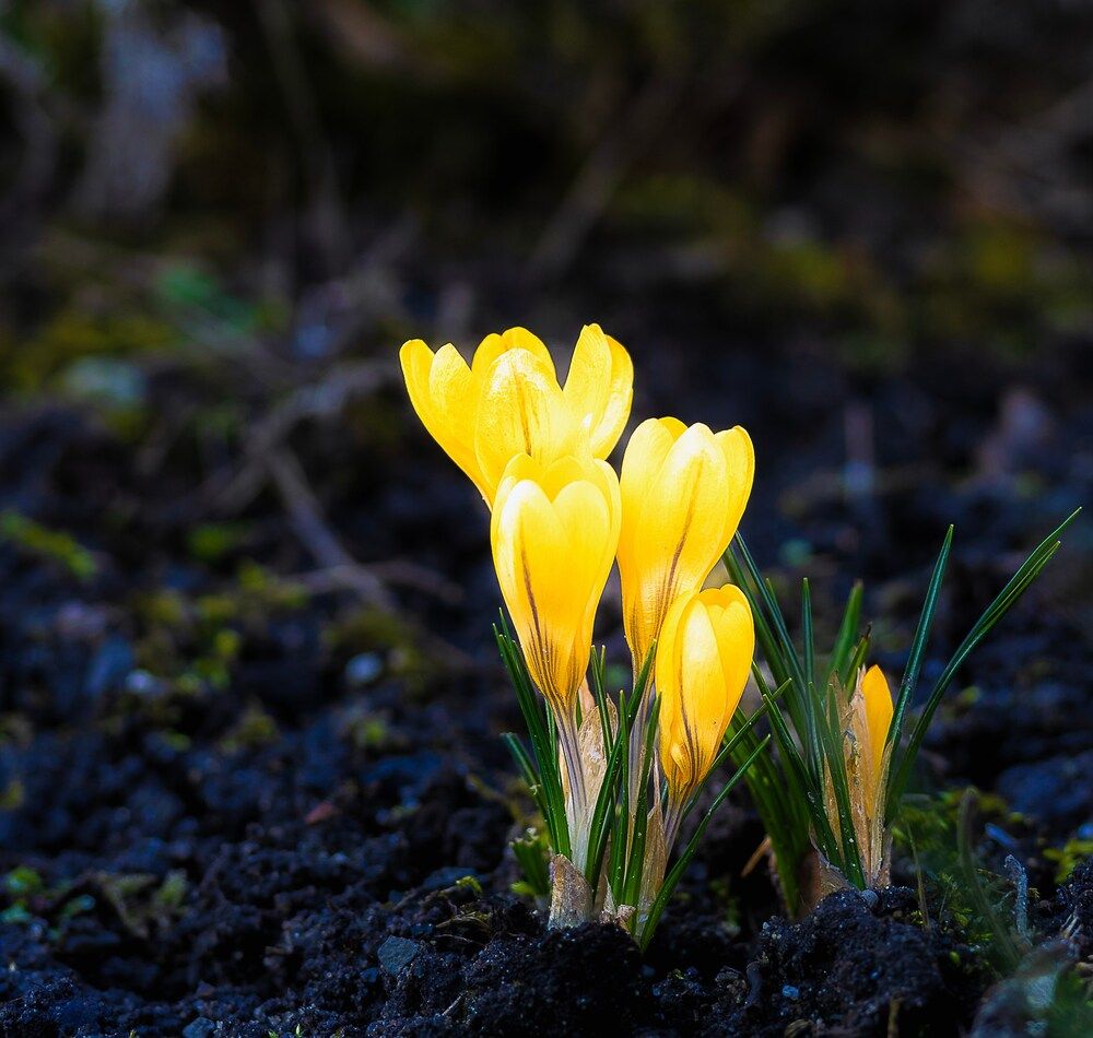 Фотография автора Igor Lukin