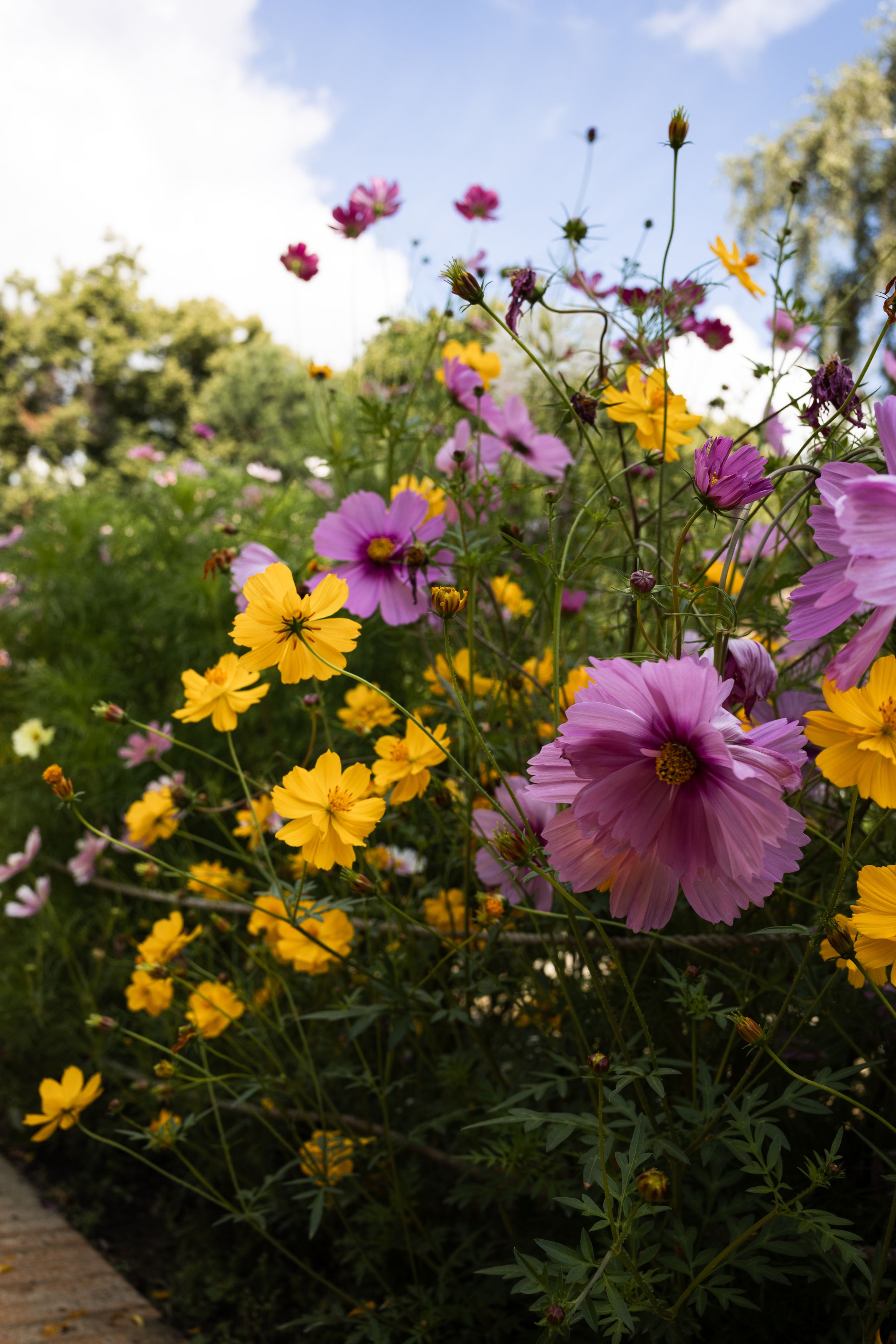 Photograph by Юлия Шевцова