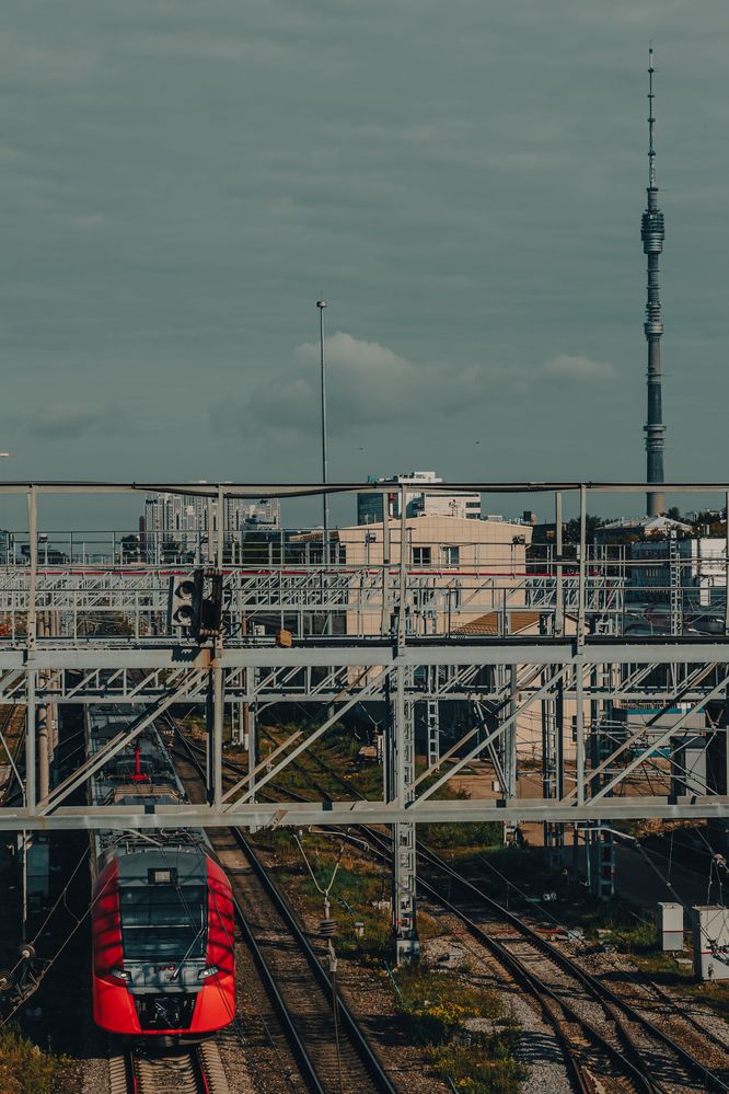 Фотография автора Таисия