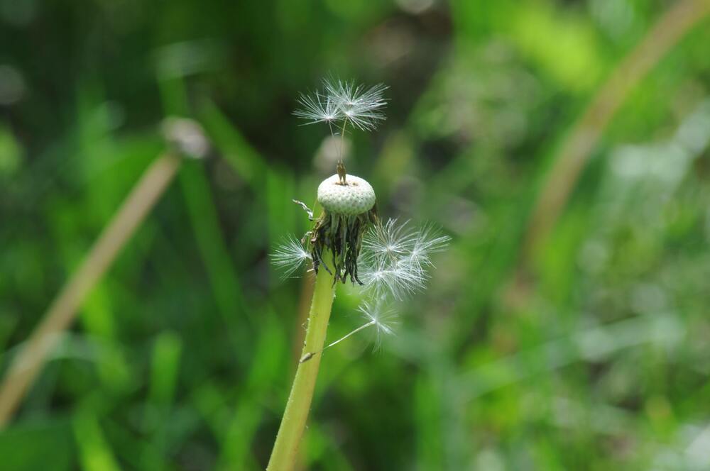 Photograph by Дмитрий Жуков