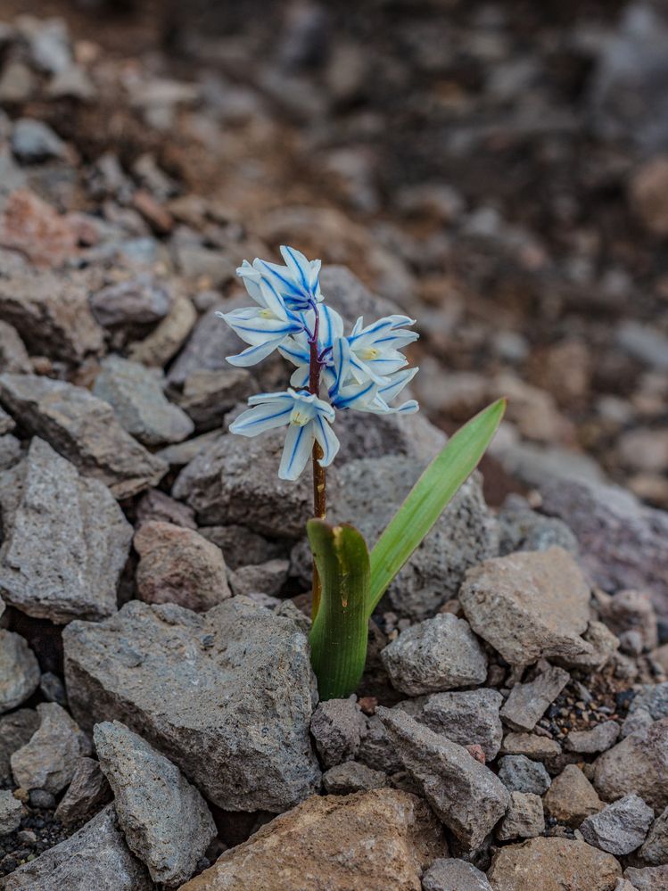 Фотография автора Таисия