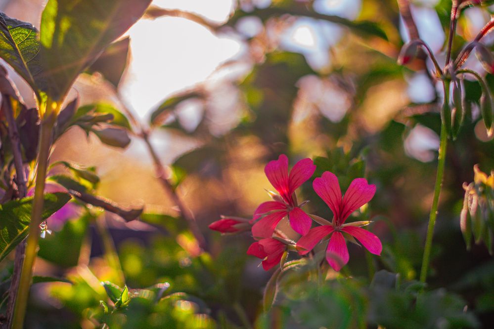 Фотография автора Таисия