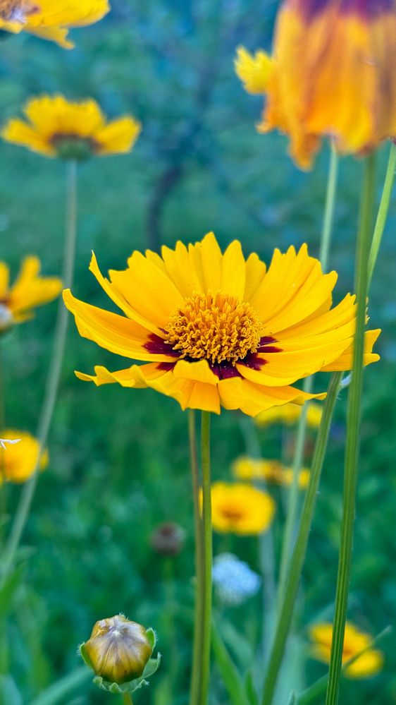 Photograph by Ekaterina Slepneva