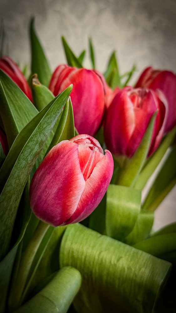 Photograph by Ekaterina Slepneva