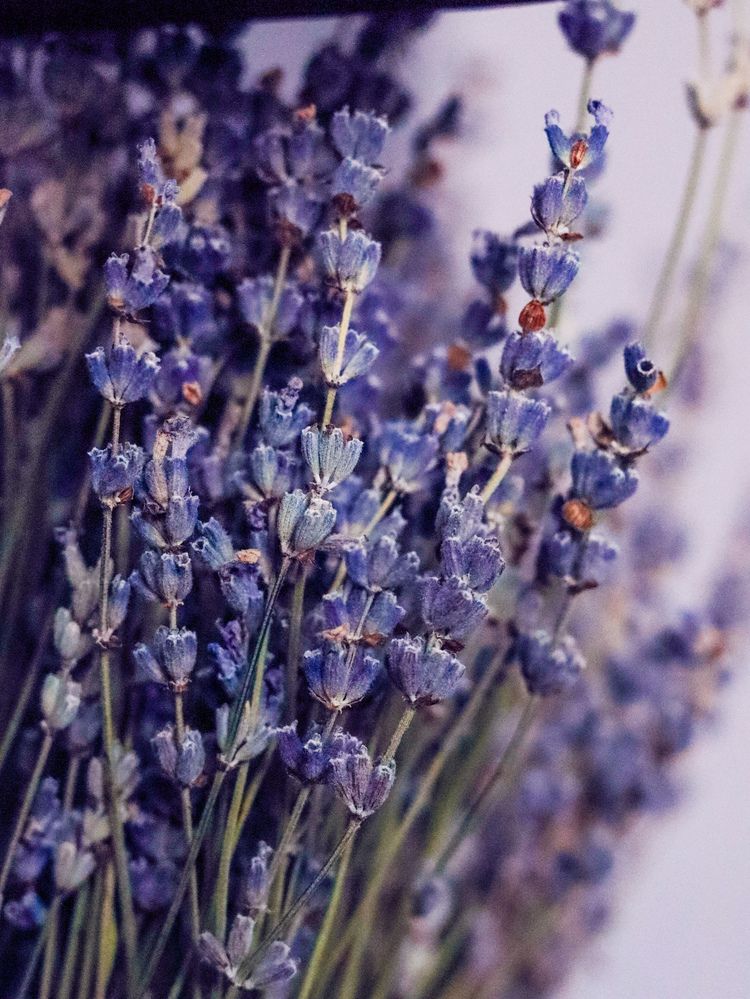 Photograph by Ekaterina Slepneva