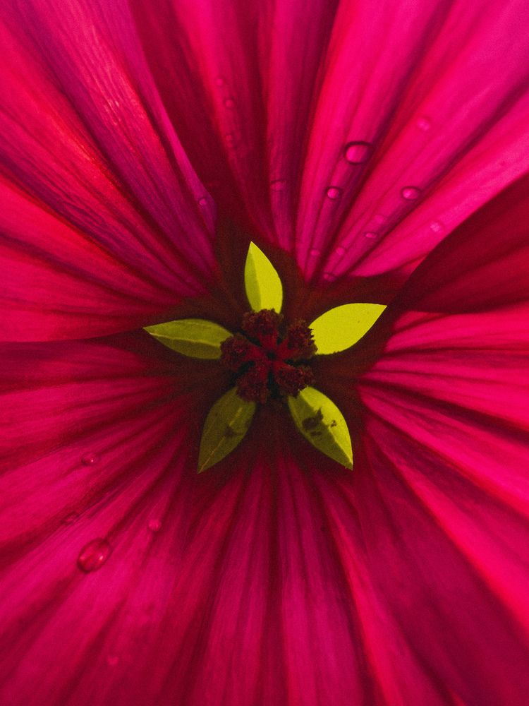 Фотография автора Анна Рыжикова