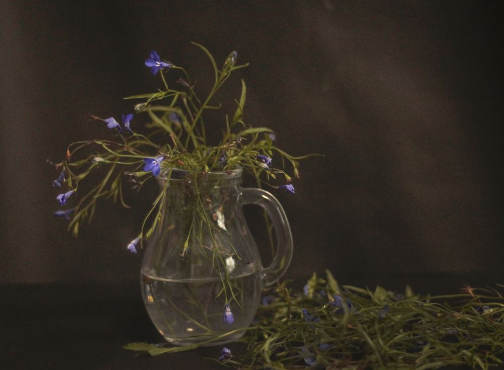 Photograph by Татьяна Гатиятуллина