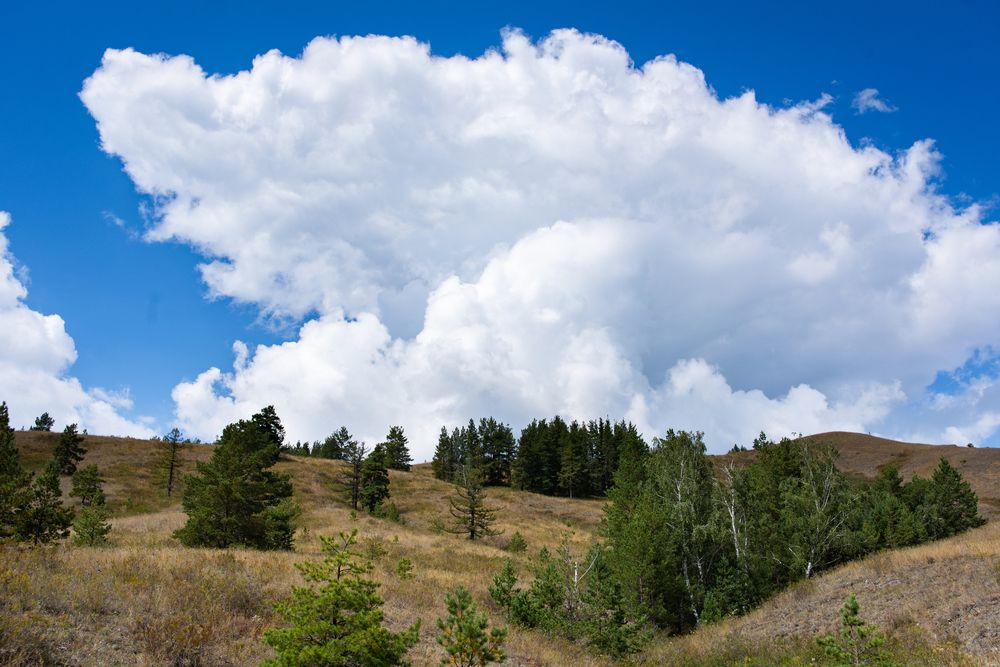 Вперёд к облакам