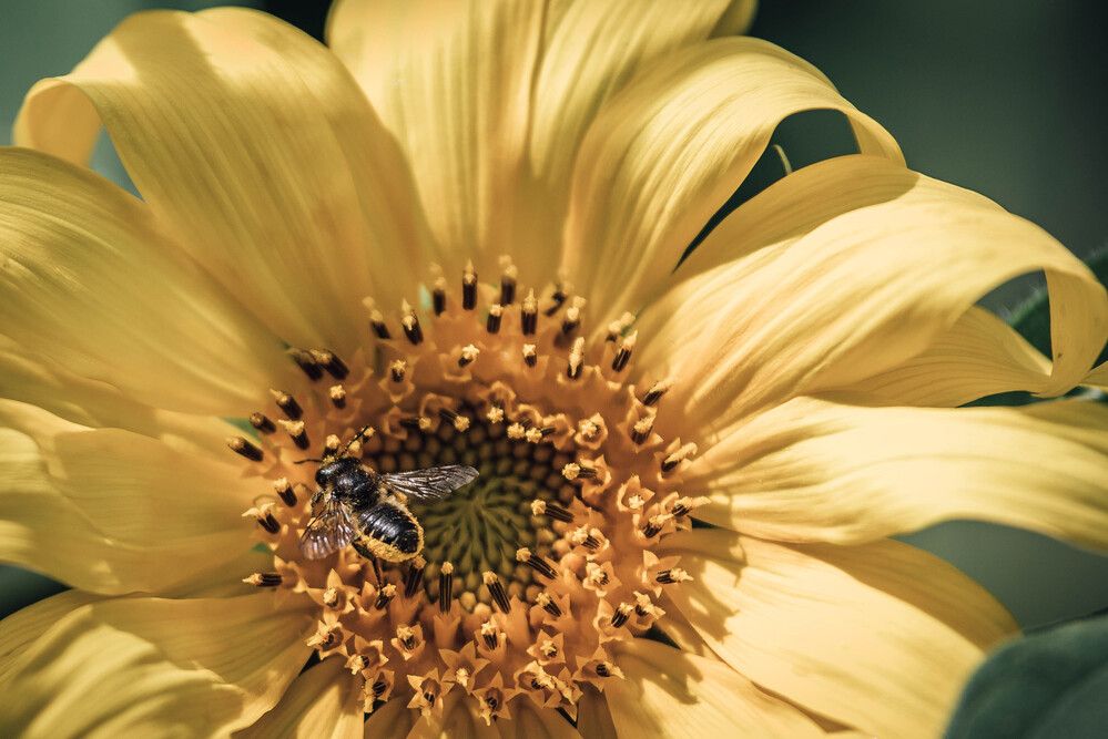 Photograph by Екатерина Медведева