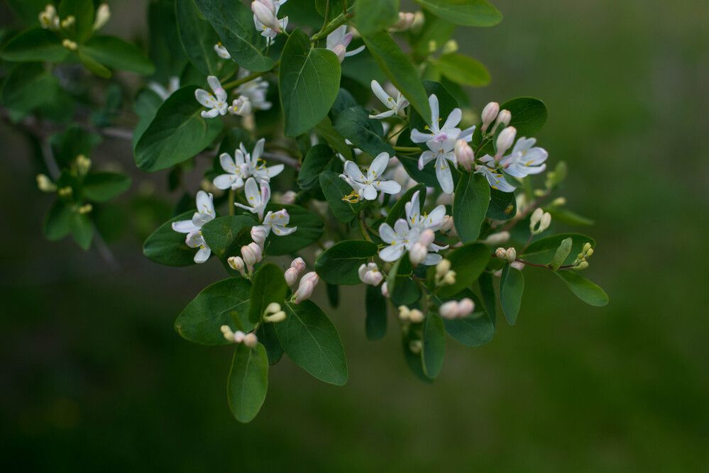 Photograph by Екатерина Медведева
