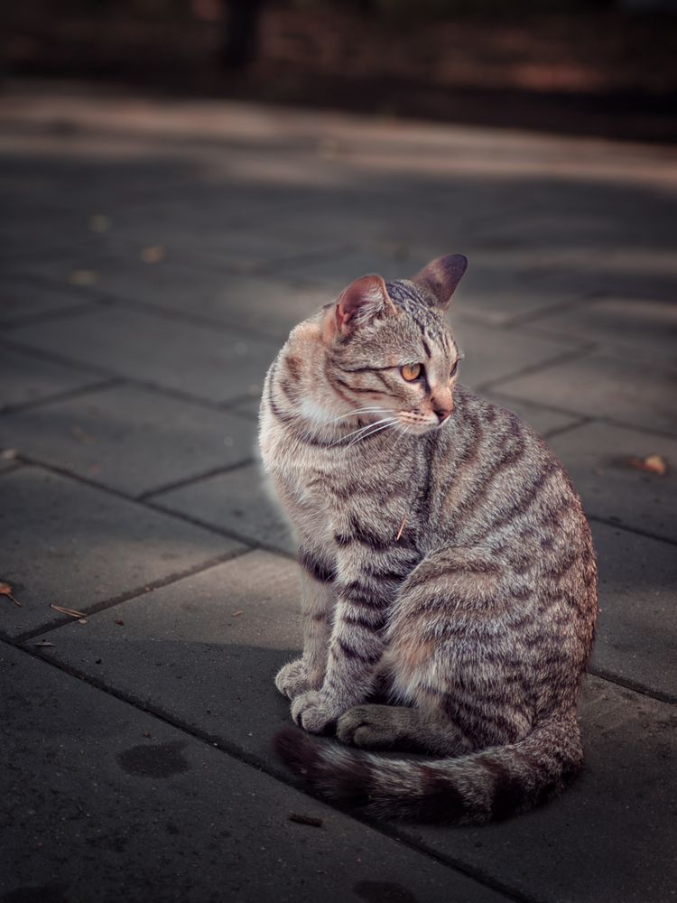 Photograph by Олега Тор