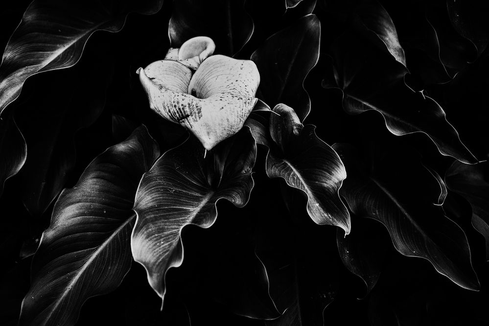 Фотография автора Marina Martorelli