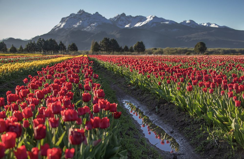 Фотография автора Marina Martorelli