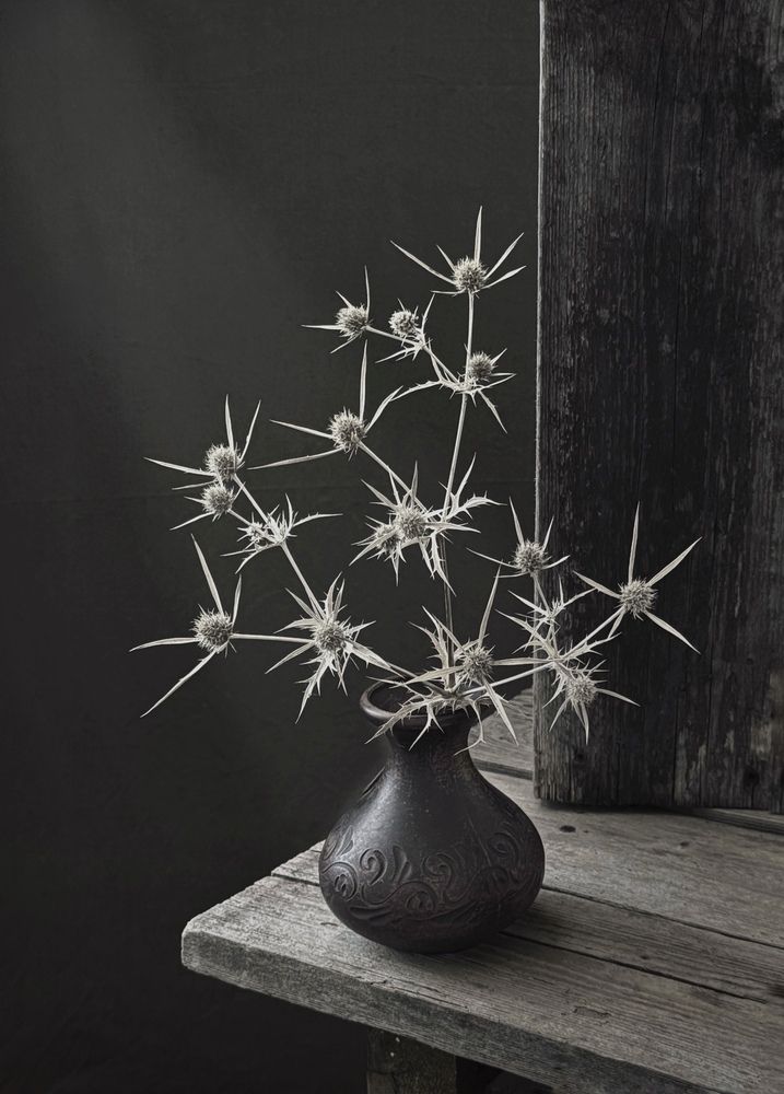 Photograph by Татьяна Семёнова