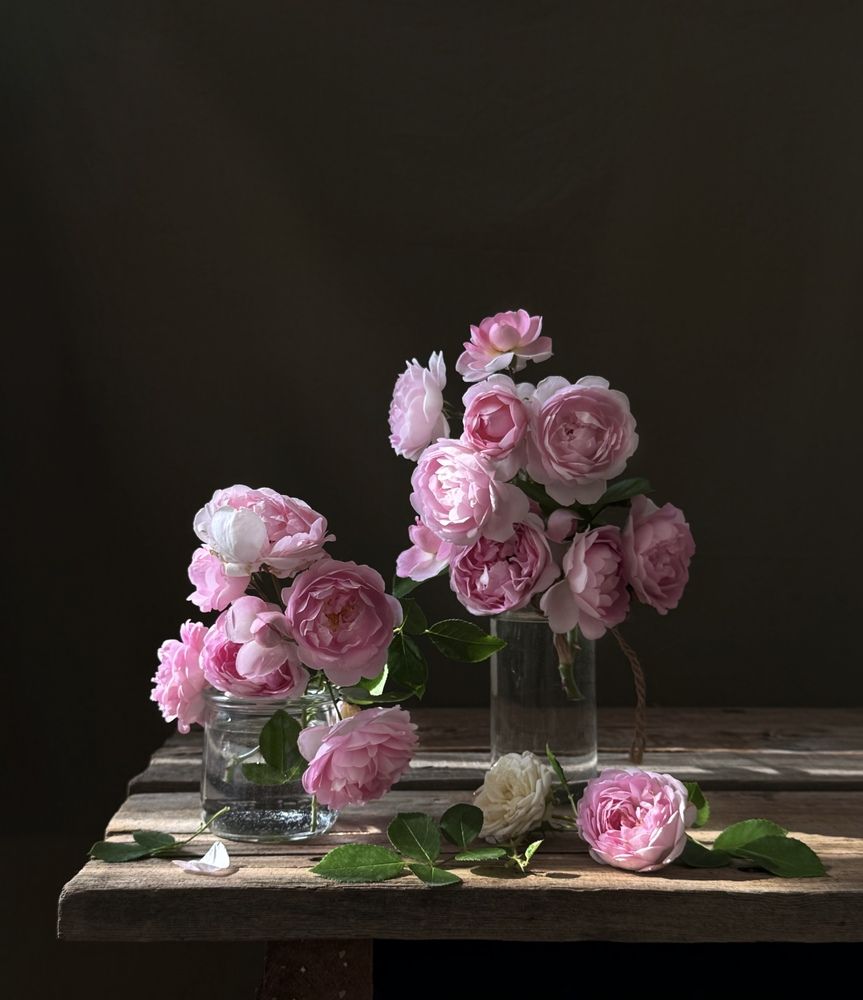 Photograph by Татьяна Семёнова