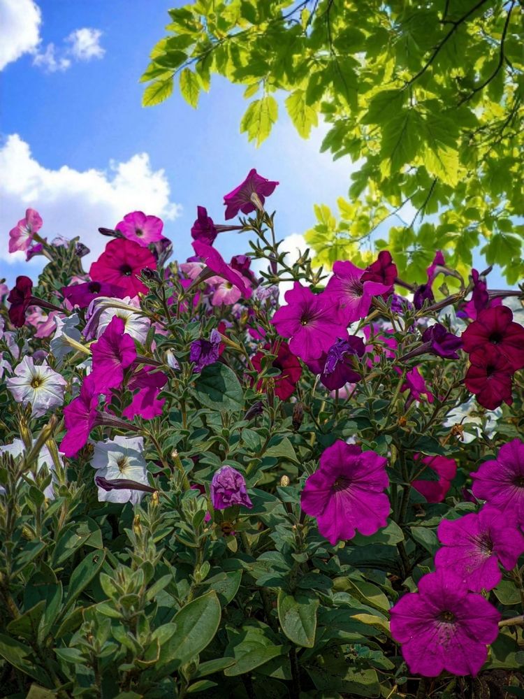 Photograph by Олега Тор