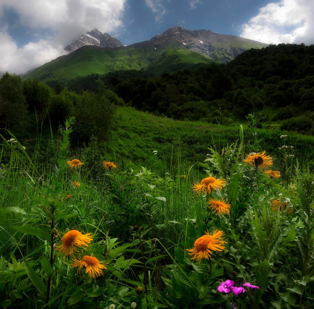 Photograph by Boris Bekelman