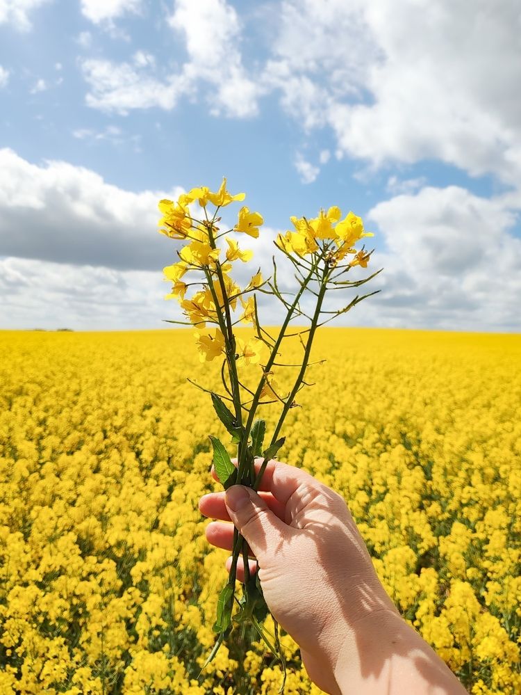 Photograph by Дарья