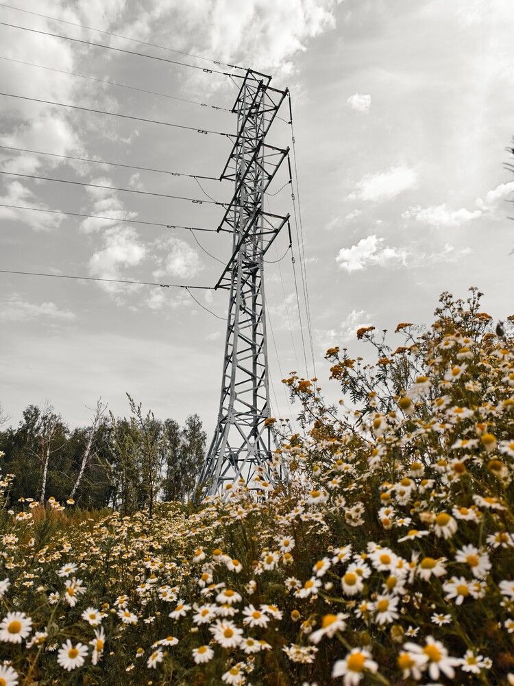 Photograph by Галина