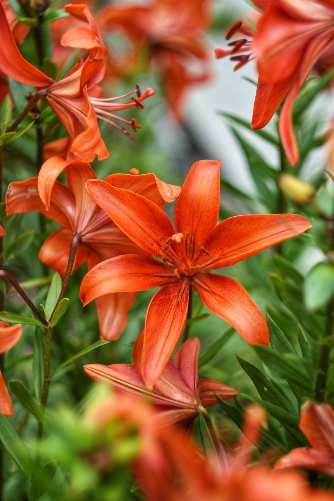 Фотография автора Анастасия Руднева