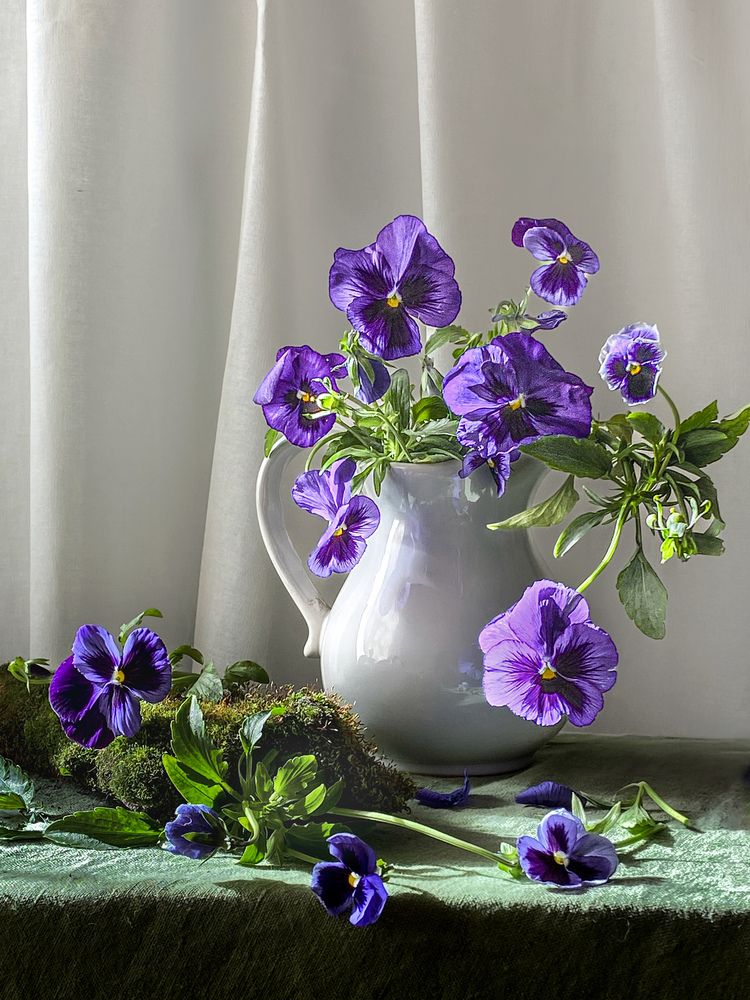 Photograph by Vera Romanova