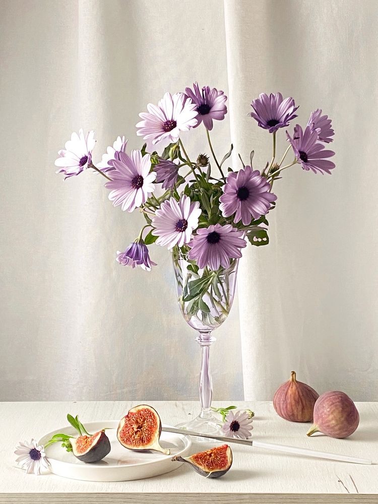 Photograph by Vera Romanova