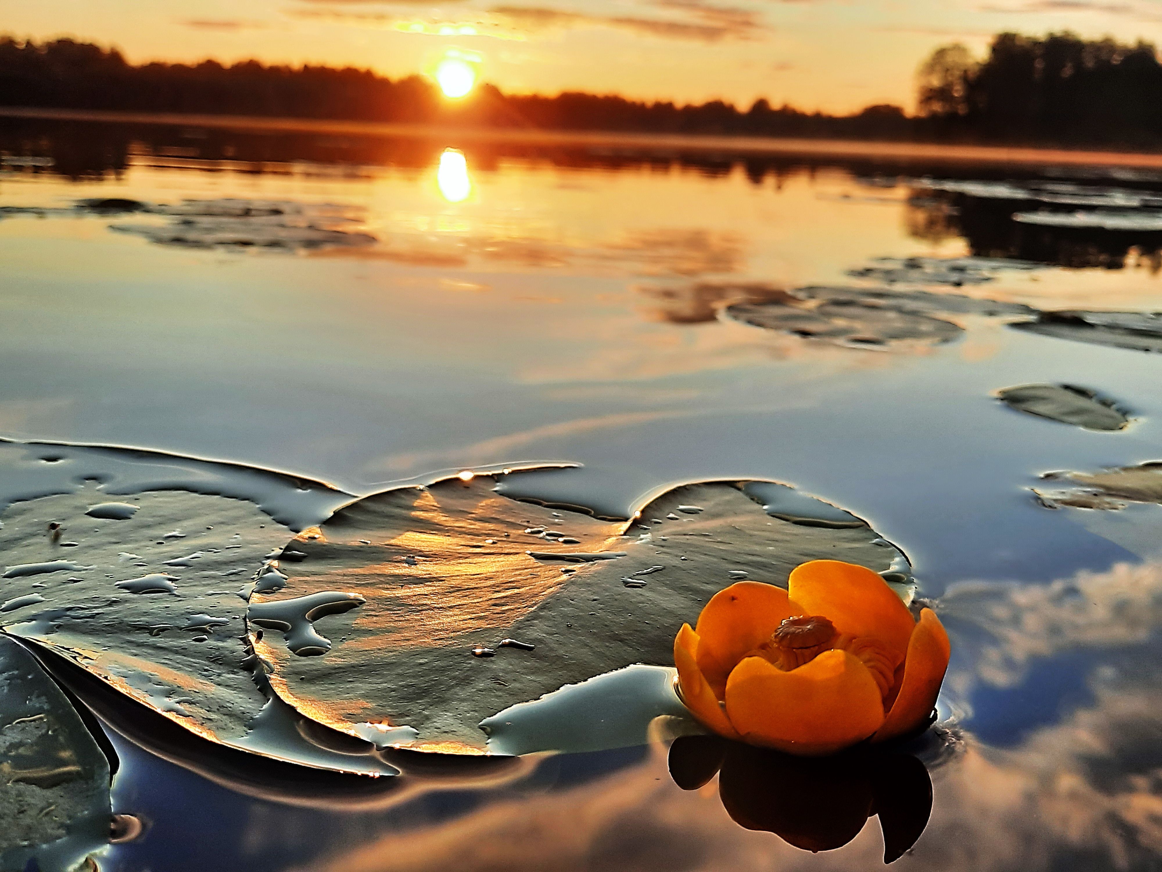 Photograph by Александр Лазебник