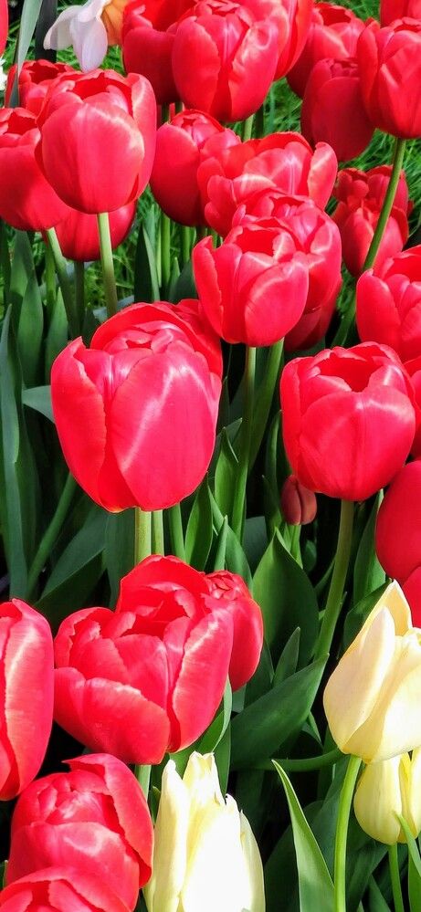 Photograph by Анна Андреевна