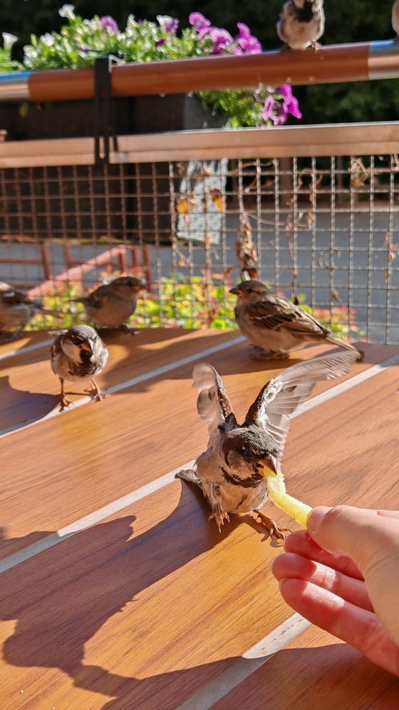 Photograph by Евгения Бородина