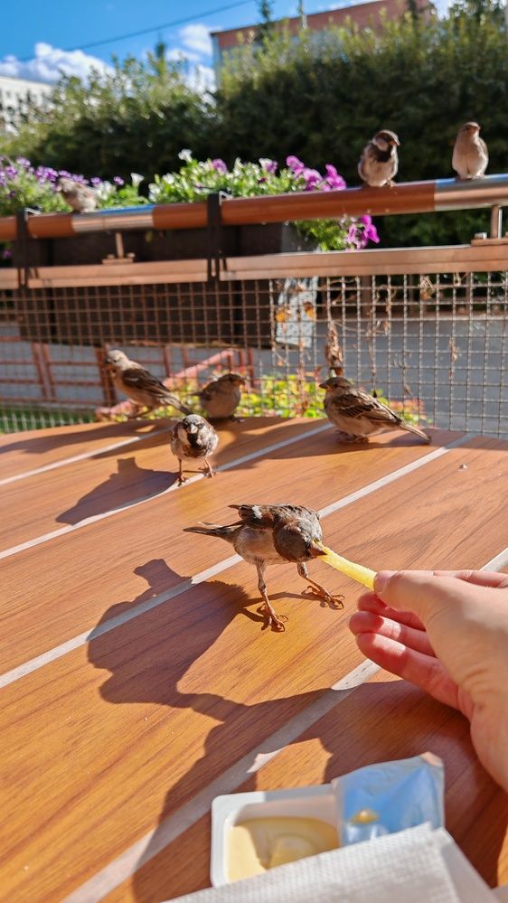 Photograph by Евгения Бородина