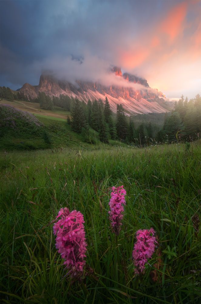 Photograph by Markus Albert