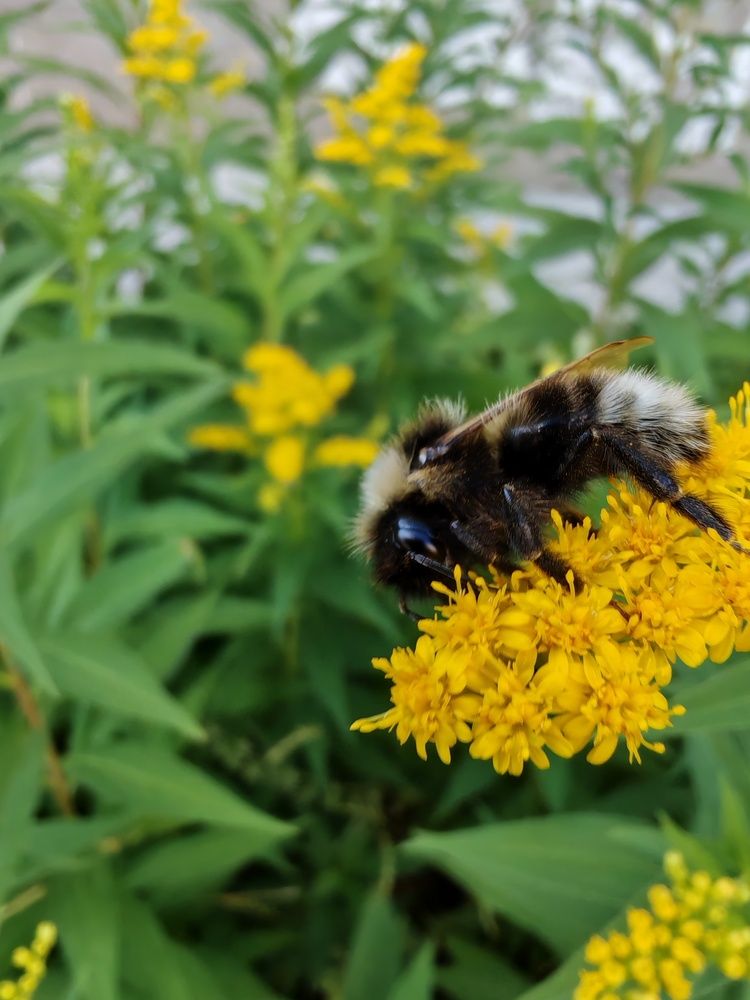 Photograph by Евгения Бородина