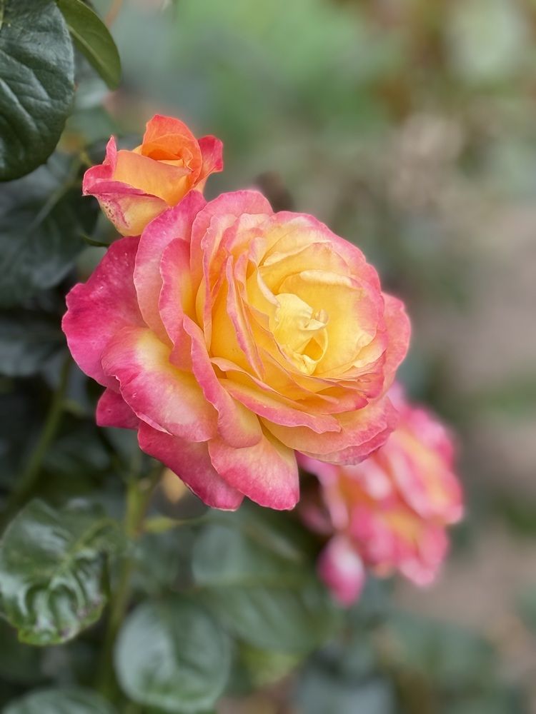 Photograph by София Лысова