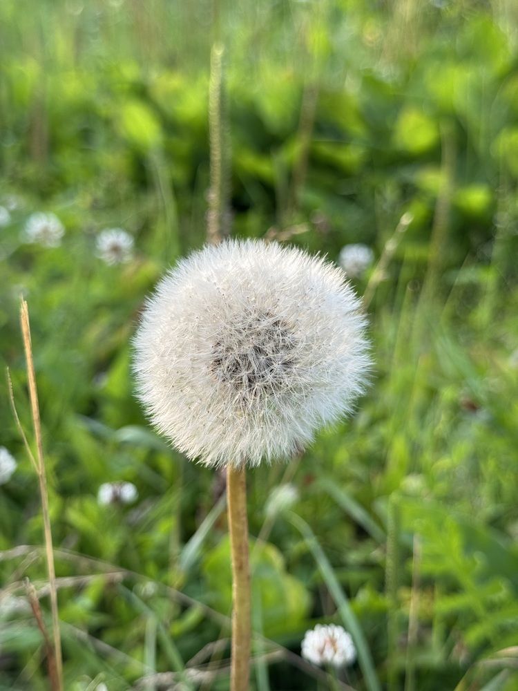 Photograph by София Лысова