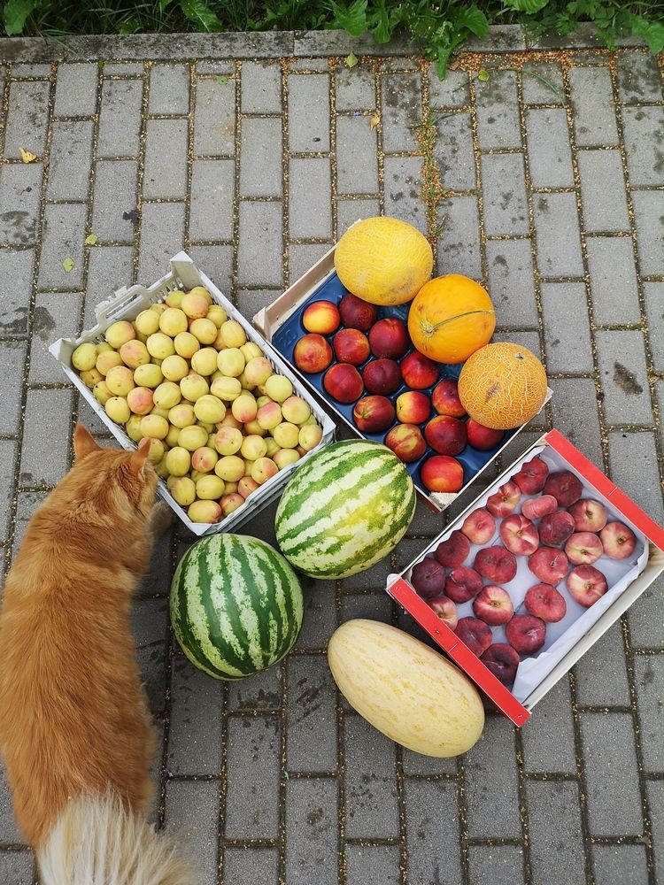 Photograph by София Лысова