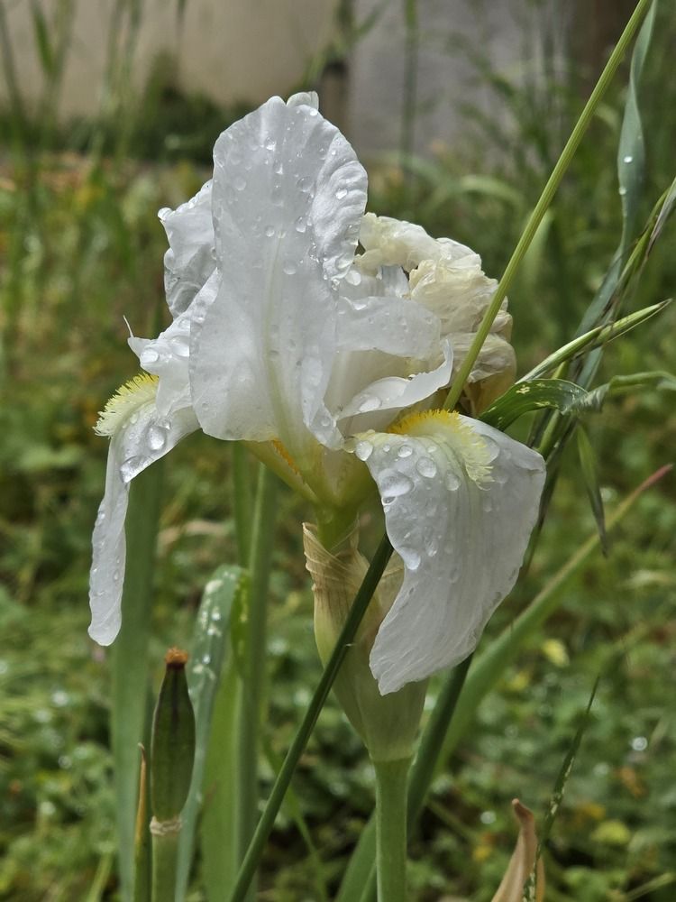 Photograph by Yulia Rotbach