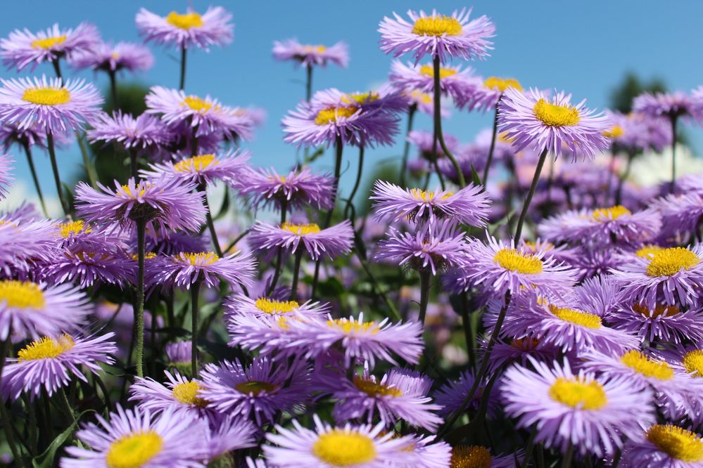 Photograph by Людмила Таерова