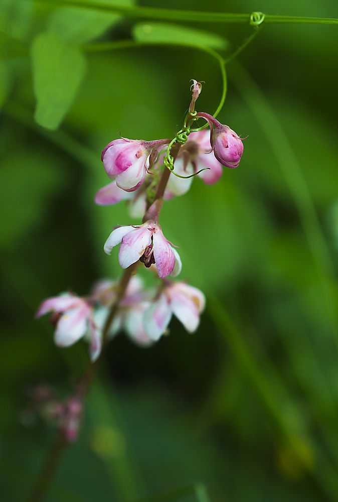 Photograph by Наталья Дроздова