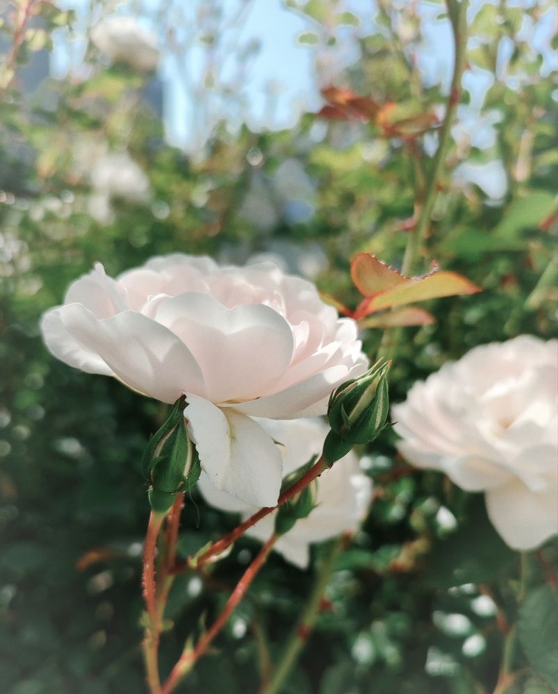 Photograph by Ирина Половцева