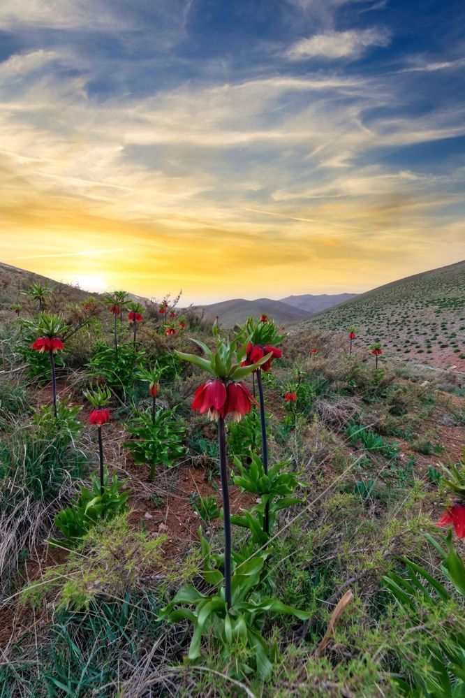 Photograph by Hamid espanani