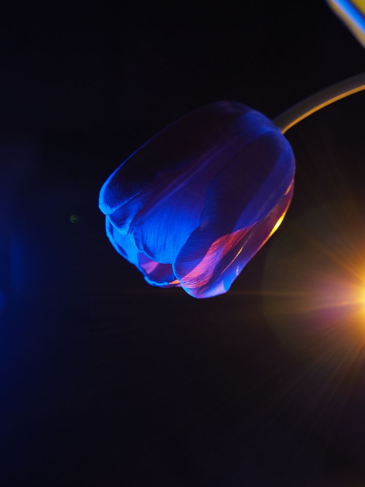 Photograph by Светлана Шибаршина