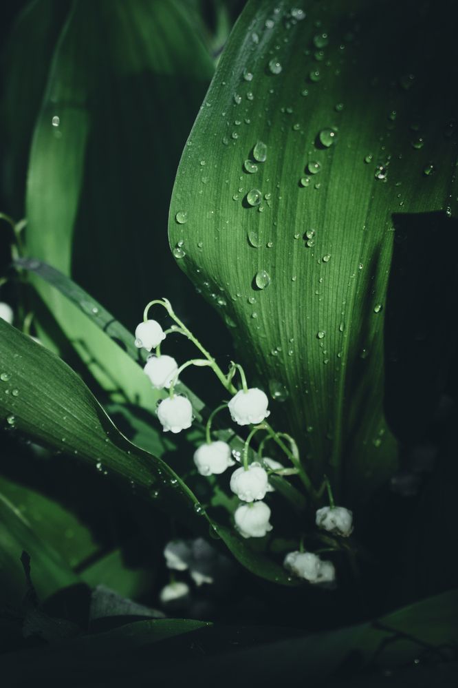 Photograph by Альфия Агзами